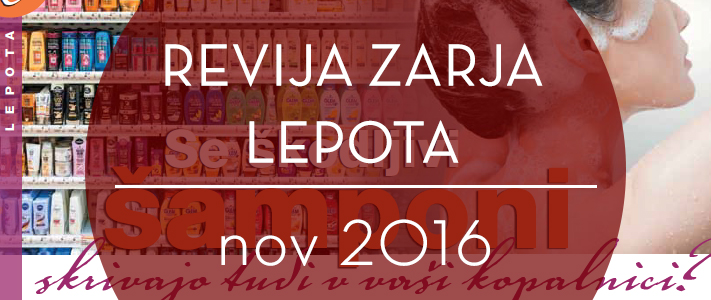 13_zarja_nov2016